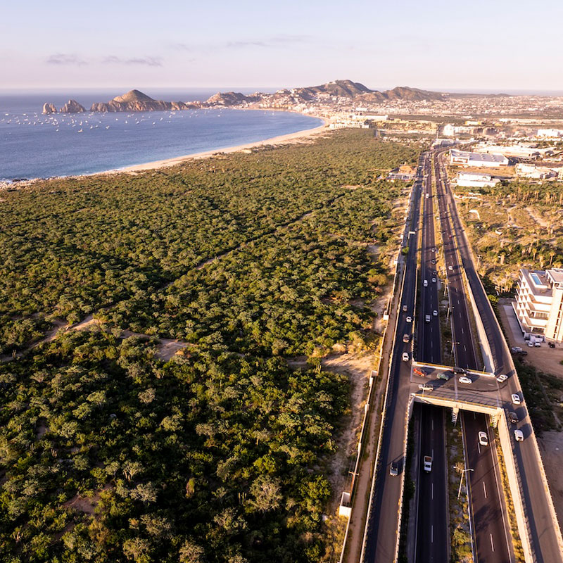 Cabo Transportation to Tourist Corridor